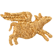 Flying Pig